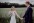 Brautpaar geht beim Fotoshooting an einem Feld entlang