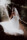 Braut schwingt beim Fotoshooting das Kleid in der Sonne