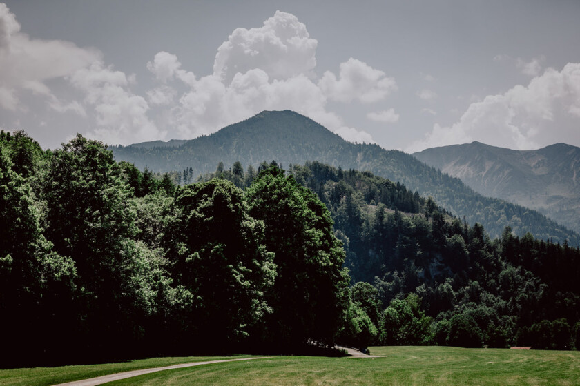 Landschaftsfoto von Wald und Bergen