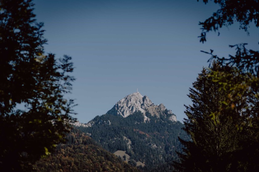 Blick auf den Wendelstein in Bayrischzell. Im Vordergrund sieht man Tannenbäume, im Hintergrund den Berg vor blauem Himmel.