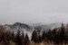 Naturaufnahme vom Wendelstein. Im Vordergrund sind Bäume zu sehen, im Hintergrund alpine Landschaft im Nebel.