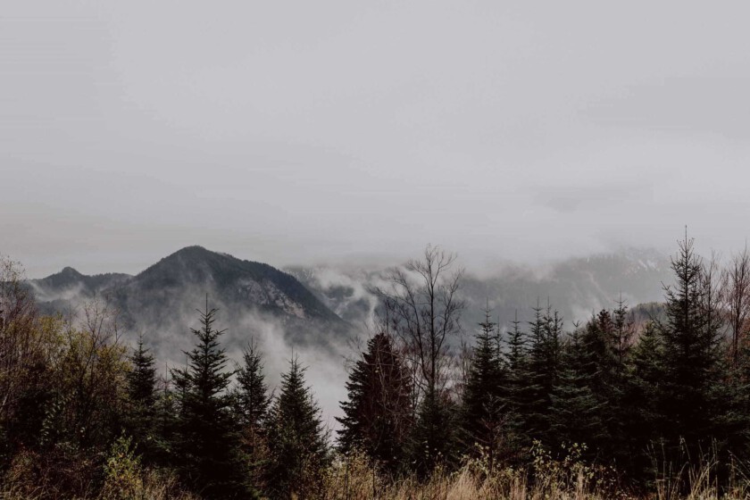 Naturaufnahme vom Wendelstein. Im Vordergrund sind Bäume zu sehen, im Hintergrund alpine Landschaft im Nebel.